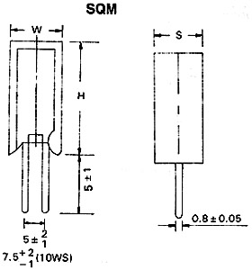 sq-1.jpg (20929 bytes)