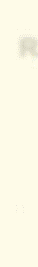 t1.gif (539 bytes)