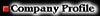 pintek.jpg (6579 bytes)