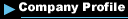 Company Profile