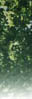 t6-1.jpg (4484 bytes)