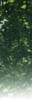 t6-2.jpg (4048 bytes)