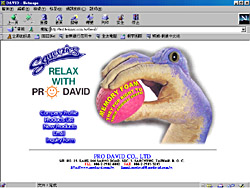 david.jpg (27903 bytes)