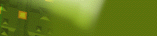 t11.gif (4194 bytes)