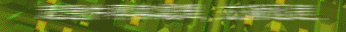 w1.gif (35952 bytes)