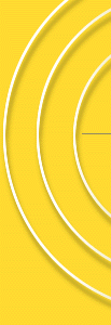t2.gif (9979 bytes)