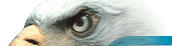 t9.gif (55650 bytes)
