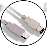 t5.gif (19822 bytes)