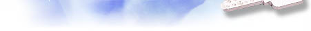 t3.jpg (3994 bytes)
