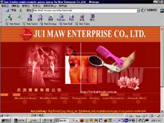 jm-hairbrush.jpg (21971 個位元組)