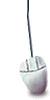 8.gif (8246 bytes)
