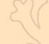 dto2.jpg (2949 bytes)