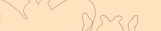 dto3.jpg (3695 bytes)