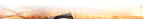 t2.jpg (5950 bytes)