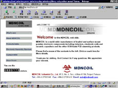 mdncoil.jpg (20806 bytes)