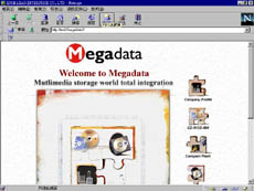 megadata3.jpg (15904 bytes)