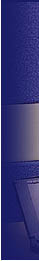 t3.jpg (3982 bytes)