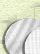 t4.jpg (12168 bytes)