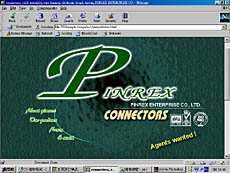 pinrex.jpg (21398 bytes)