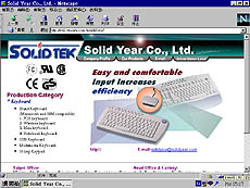 solidyear.jpg (23360 bytes)