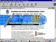 splicing.jpg (25617 bytes)
