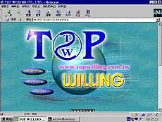 topwilling.jpg (23655 bytes)