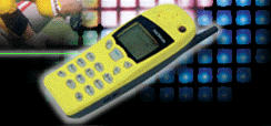 e1.gif (66834 bytes)