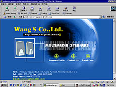 wangsnet.jpg (23694 bytes)
