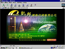 webconsult.jpg (22850 bytes)