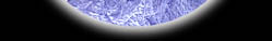 t9.jpg (3796 bytes)
