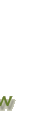 t8.gif (722 bytes)